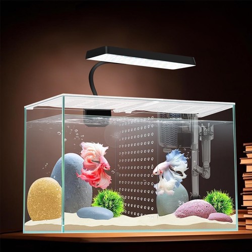 Acquario nano vetro pesce - acquario,