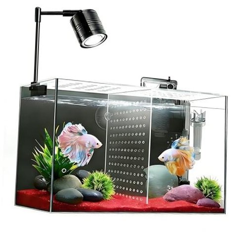 Fish tank galloni - 3, vetro