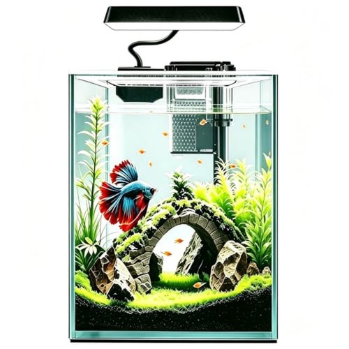 Kit avviamento acquario betta - avviamento,