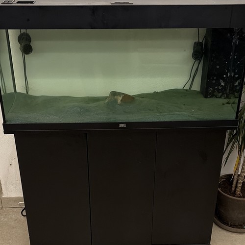 Juwel acquario set completo - acquario,