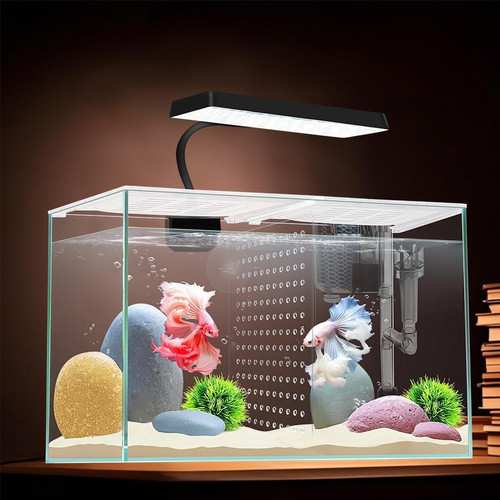 Acquario nano vetro pesce - acquario, 3