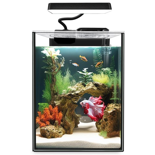 Vetro betta acquario - betta,