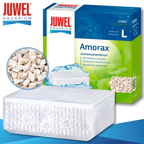 Juwel amorax ammoniumentferner - amorax,
