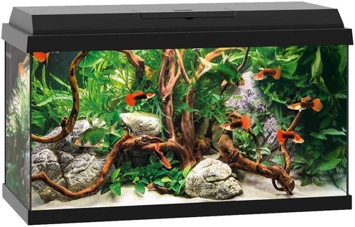 Juwel set acquario - primo, 60